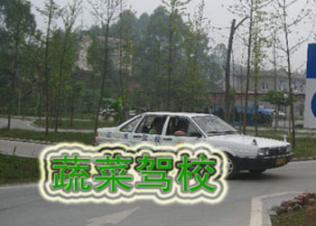 蔬菜驾校