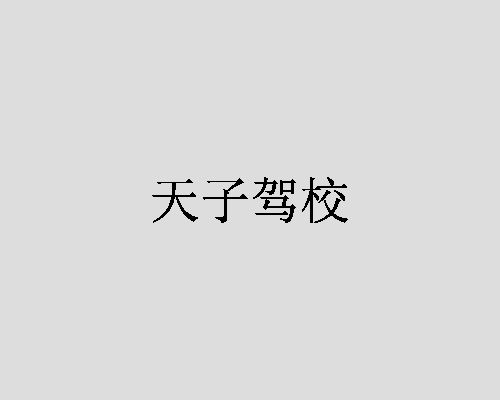 天子驾校