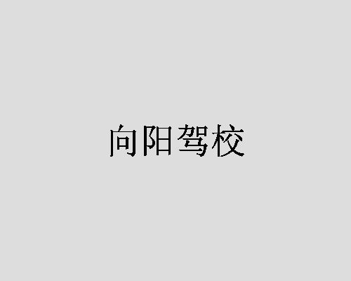 向阳驾校