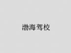 查看渤海驾校的全部图片